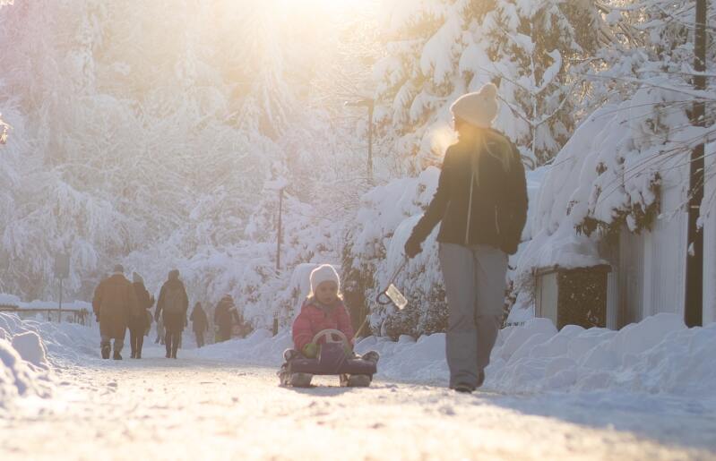 The Best Family Winter Activities