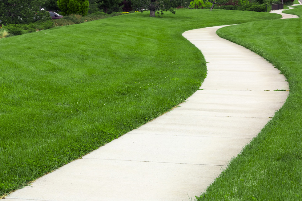 Curved concrete path on a grassy hill